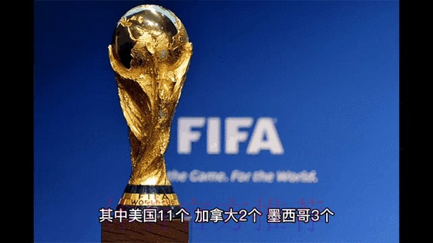 2026世界杯外围赛实时动态解析