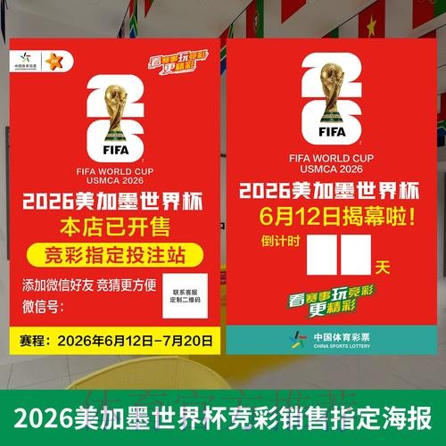 2026世界杯投注入门指南